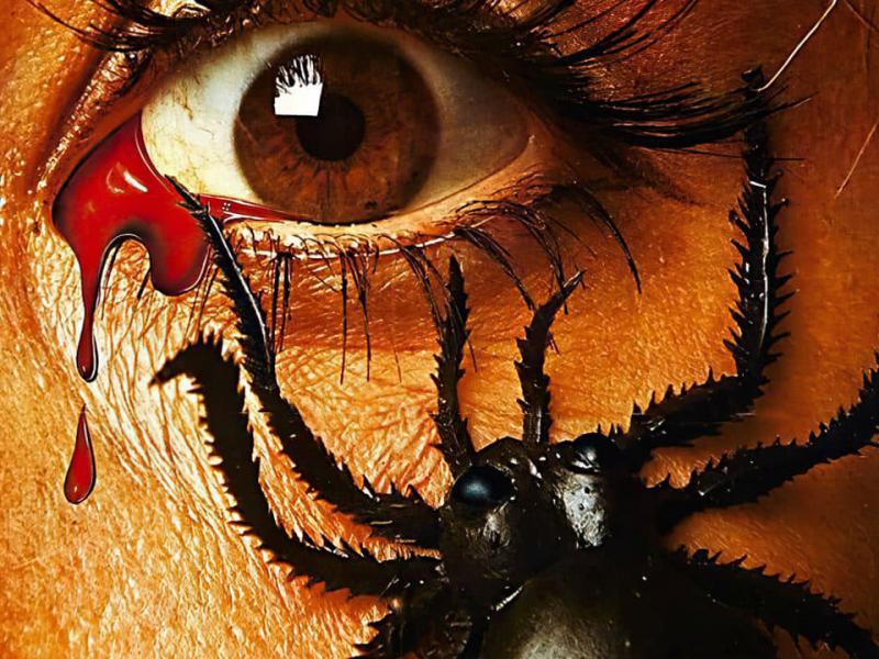 Сериал Возвращение Доктора